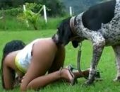 Duas safadas lésbicas amigas bolinando vara do cão
